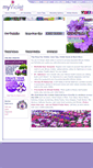 Mobile Screenshot of myviolet.com